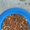 달맞이목장 이미지