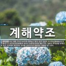8.대한민국 제2의 도시! 부산광역시의 역사