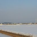 원우농장 이미지