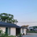 도로시민박 이미지