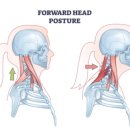 늘바른한의원 이미지