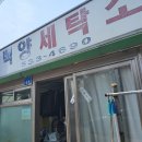 백양세탁소 이미지