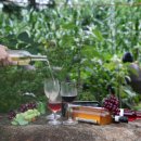 박미향 농장 이미지