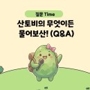 두포3 | 등산 에너지젤 추천 및 에너지젤 파는곳 프로게이너 파워젤 파인애플맛 후기