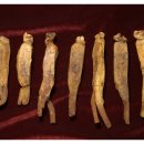 순우리인삼 이미지