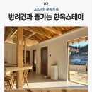 경포2호 이미지