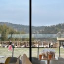 킹프림 애견샵 이미지