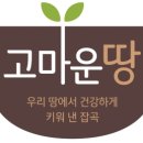 농협양곡