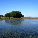 볼음저수지 이미지