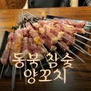 동북참숯양꼬치