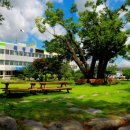 곡성-161 이미지