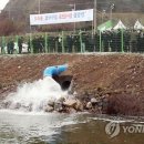 용정리 고인돌 이미지