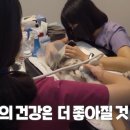 하루동물병원 이미지