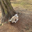 용봉동 새봄어린이공원 이미지