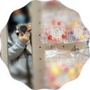 컬러하우스 광교점 | 광교 롯데몰 모던하우스 키즈 방문기: 산리오부터 디즈니까지 아이 용품 총정리