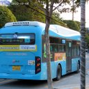 수원-1663 이미지