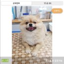 짱구네 동물병원 이미지