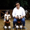 지큐빌봄봄공인중개사사무소 | 사하구 장림동에 위치한 "더홈 부동산" 부동산의 모든것을 배우라...