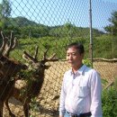 대림농장 이미지