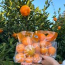 서광리-12 이미지