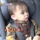벤틀리 티스토리