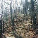 팔공산녹색길 숲길 2코스 이미지