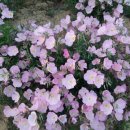 성학농장 이미지