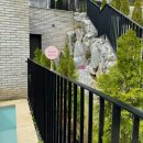 빌라드루이 | [가평/청평 애견동반 펜션]&#34;빌라드루이&#34; 방문 찐 후기(with 우리집냥이)