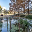 행정4길 이미지