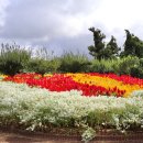 서부농업기술센터 이미지