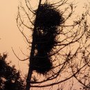 북풍농장 이미지