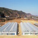 인원농장 이미지