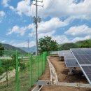 대산 태양광발전소 이미지