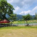 두타산막국수&칼국수 이미지