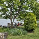 봉채국수 이미지