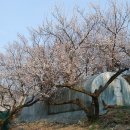 지암농장 이미지