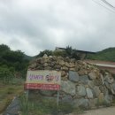 김해댁닭집 이미지