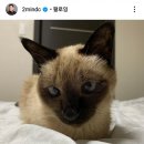 작고 소중해 이미지