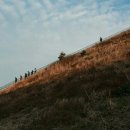 양지다실 - 세종특별자치시 금남면 | 양지다실