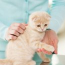 이스턴24시동물병원 이미지