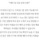 플라워앤코