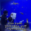 오사카 주유패스 1일권 코스 사용 후기 일정 공유