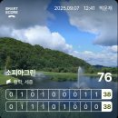 소피아그린 이미지