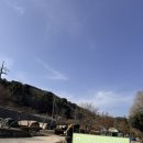 유식물원 | 캠핑 성지 인정! 포천에서 자연에 푹 빠진 1박 2일 [유식물원캠핑장] 글램핑 후기