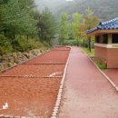 다리안 황토길 이미지