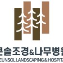솔조경 이미지