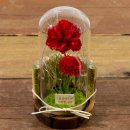 마음을 담은 플라워박스 이미지