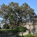 당포민박 이미지