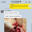 닥터코기동물병원 이미지