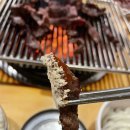 갈매기초장 이미지